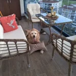 Ayşe Altuner ürün değerlendirmesi