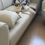 Ertuğrul Karakoç ürün değerlendirmesi